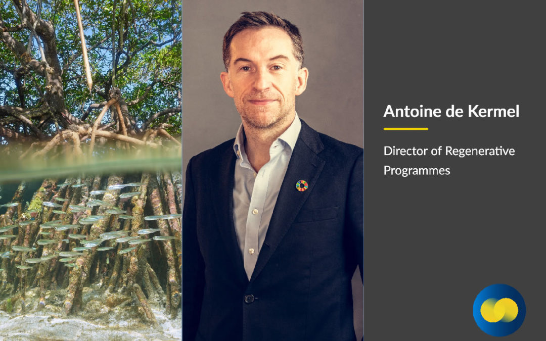 Meet Antoine de Kermel, Director of Regenerative Programmes